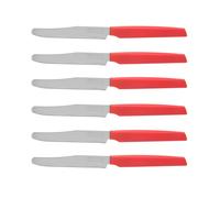 Pedrini Coltelli da Tavola, serie Active Acciaio Inossidabile, 6 coltelli