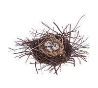 Set 6 Nidi Decorativi con Uova Misure 20x4 cm