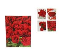 SET 6 PEZZI BUSTE DA REGALO CON ROSE 42X33X12CM BORSA SAN VALENTINO VARI MODELLI