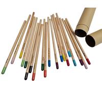 Set 60 Matite Pastelli Colorati Piantabili con Nome Seme Inciso Educativi Green