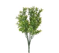 Set 8 Cespugli Bosso Buxus Ø 38 cm