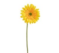 Set 8 Fiori Artificiali di Gerbera Singolo H 62 cm