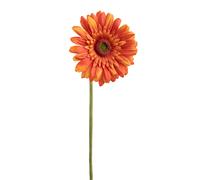 Set 8 Fiori Artificiali di Gerbera Singolo H 62 cm