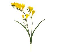 Set 8 Rami Artificiali Fresia Composta da 2 Fiori H 58 cm