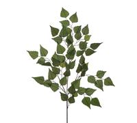 Set 8 Rami Betulla Artificiale con 56 Foglie Altezza 56 cm Verde