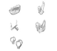 Set Accessori Bagno T-REX Dinosauro Porta Spazzolino Sapone Carta Igienica