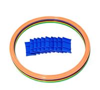 Set Addestramento Agilità Cani, 10 Cerchi Colorati per Percorso Ostacoli | Plastica resistente, uso interno ed esterno, migliora la coordinazione