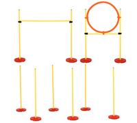 Set Addestramento per Cani con Paletti e Anello Agility Dog