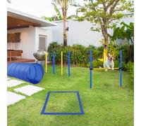 Set Agility Dog per Addestramento Cani con Tunnel, Slalom e Ostacolo, Sacca di Trasporto, Giallo e Blu