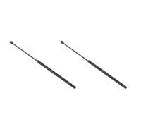 Set Ammortizzatori A Gas Per Cofano Posteriore STABILUS LIFT-O-MAT® 492 mm