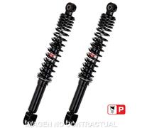 Coppia ammortizzatori posteriori idraulici doppio tubo PEOPLE S 250 05-08 300 08
