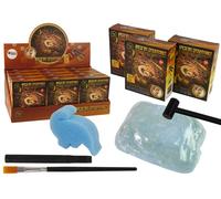 Set archeologico creature antiche sorpresa ammonite