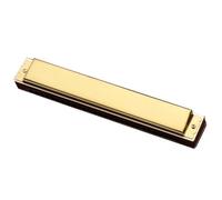 Set armonica vibrato chiave C a 28 fori Strumento a fiato per arpa dorata squisita(A)
