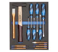 Set attrezzi NEL MODULO UTENSILI Imbottitura GEDORE Professionale Expertise