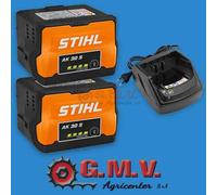 Set base Stihl con 2 batterie AK 30 S e caricabatterie AL 101