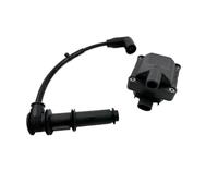 Set bobina di accensione for Eu3 Sport Cube 250 Sr Max 300 12v bobina elettronica 828817(1 set crooked cap)