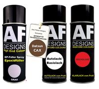 Set bomboletta spray epossidica per Datsun CAX Penny bomboletta spray metalli...