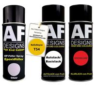 Set bomboletta spray epossidica per RollsRoyce T54 Bijan Yellow bomboletta...