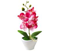 Set bonsai Fivehead Phalaenopsis incredibilmente realistico con fiori artificial