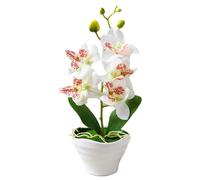 Set bonsai Fivehead Phalaenopsis incredibilmente realistico con fiori artificial