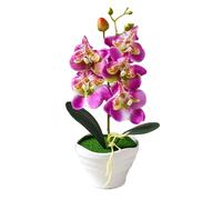 Set bonsai Fivehead Phalaenopsis incredibilmente realistico con fiori artificial