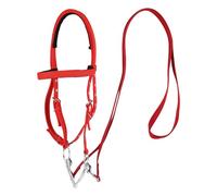 Set Briglia Da Equitazione - Robusta Capezzina Con Morbida Imbottitura, Redini In Nylon Regolabili, Attrezzatura Da Equitazione Leggera | Ideale Per Passeggiate A Cavallo, Passeggiate, Lezioni, Compet