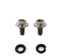 Set Bulloni Biella In Titanio Aceoffix Argento 2 Pezzi Per Brompton Dahon Birdy