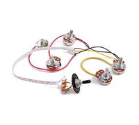 Set Cablaggio Chitarra Elettrica 2v2t 3 Vie A500k B500k | Accessori per Gs Style Guitars, Metallo Argento, Potenziometri Lunghi e Jack Inclusi