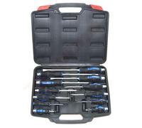 SET CACCIAVITI 12 PZ