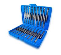 Set cacciaviti 36 pezzi misura esagonale: 2-6 mm set punte PH misura scanalata: