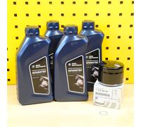 Set Cambio Olio Filtro Olio BMW Advantec Ultimate 5W40 Per: BMW S M 1000 R RR XR
