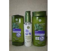 Set Capelli Ricci Yves Rocher Shampoo + Balsamo + Siero