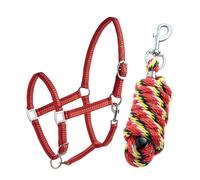 Set capezza e longhina in nylon imbottito con fibbiera di qualità Daslo