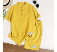 Set casual da ragazzo tra bambino e adolescente, composto da polo a mezza chiusura lampo con colletto alla coreana e maniche corte con toppe, abbinato a pantaloncini 8Y,9Y,10Y,11Y,12YLettere,Colore un