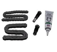 Set Catena Trasmissione INA 559101110