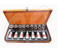 SET CHIAVI A BUSSOLA INSERTI TORX 17 PZ CROMO VANADIO