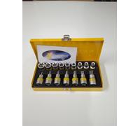 SET CHIAVI CHIAVE A BUSSOLA BUSSOLE INSERTI TORX 17 PZ CROMO VANADIO