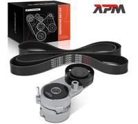 Set Cinghia Scanalata Galoppino per Audi A4 8D A6 4A VW Passat 3B 2.4-2.8L