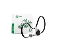 Set Cinghia Scanalata INA 529407910
