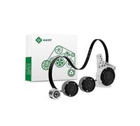 Set Cinghia Scanalata INA 529411910