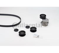 Set Cinghie V-Ribbed CONTINENTAL CTAM 6PK2260K1 Per MERCEDES-BENZ