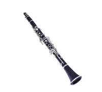 Set clarinetto Clarinetto Clarinetto Strumento Corpo Duro In Bachelite B Bemolle 17 Tasti Nichelati Prestazioni Per Principianti Adulti (Color : R18)