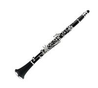 Set clarinetto Clarinetto In Si Bemolle Per Principianti, Ingresso Per Adulti, Clarinetto Per Esame Di Performance Professionale