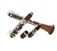 Set clarinetto Clarinetto In Sib Tune Clarinetto In Sequoia 17 Tasti Che Suona Uno Strumento Musicale Con Custodia