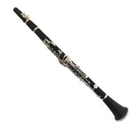 Set clarinetto Clarinetto Professionale In Si Bemolle Che Suona Il Tono A