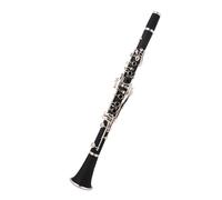 Set clarinetto Clarinetto Si Bemolle Strumento Per Principianti Esame Performance Corpo In Bachelite ABS Placcato In Argento Nichelato(C)