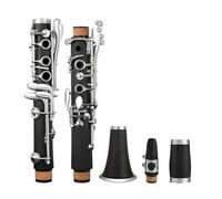 Set clarinetto Processo Di Argentatura Per Strumento A Clarinetto Singolo In Chiave Di Si Bemolle(Upgraded model)