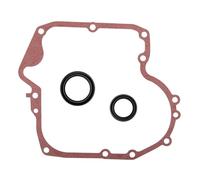 Set combinato di guarnizioni e paraolio per motore tosaerba - ricambio per i codici articolo 697110 e 795387