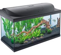 Set Completo Acquario Tetra Starter Line, 105 L, Nero - 1 set