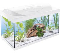 Set Completo Acquario Tetra Starter Line, 54 L, Bianco - 1 set
